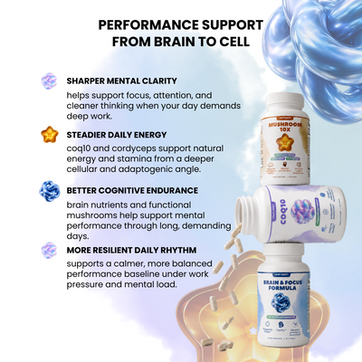 Daily Performance Stack