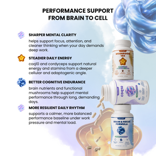 Daily Performance Stack