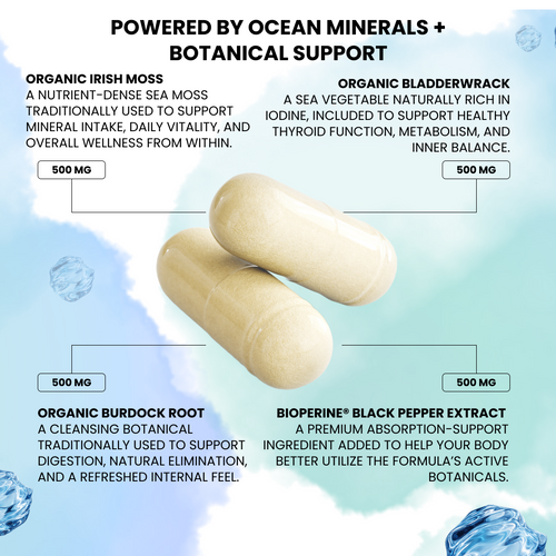 Ocean Vitality