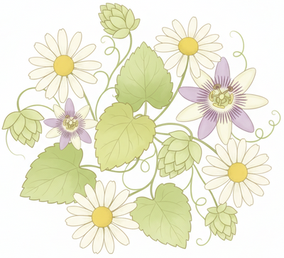 Chamomile + Lemon Balm + Passion Flower + Hops