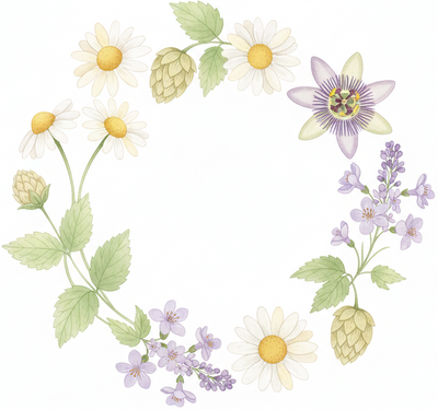 Chamomile + Lemon Balm + Passion Flower + Valerian + Hops