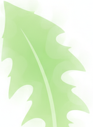 Dandelion Leaf